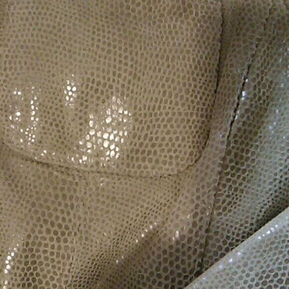 Alfani Reptile Embossed Leather Jacket. Reptile. Mobwife. - Picture 16 of 16